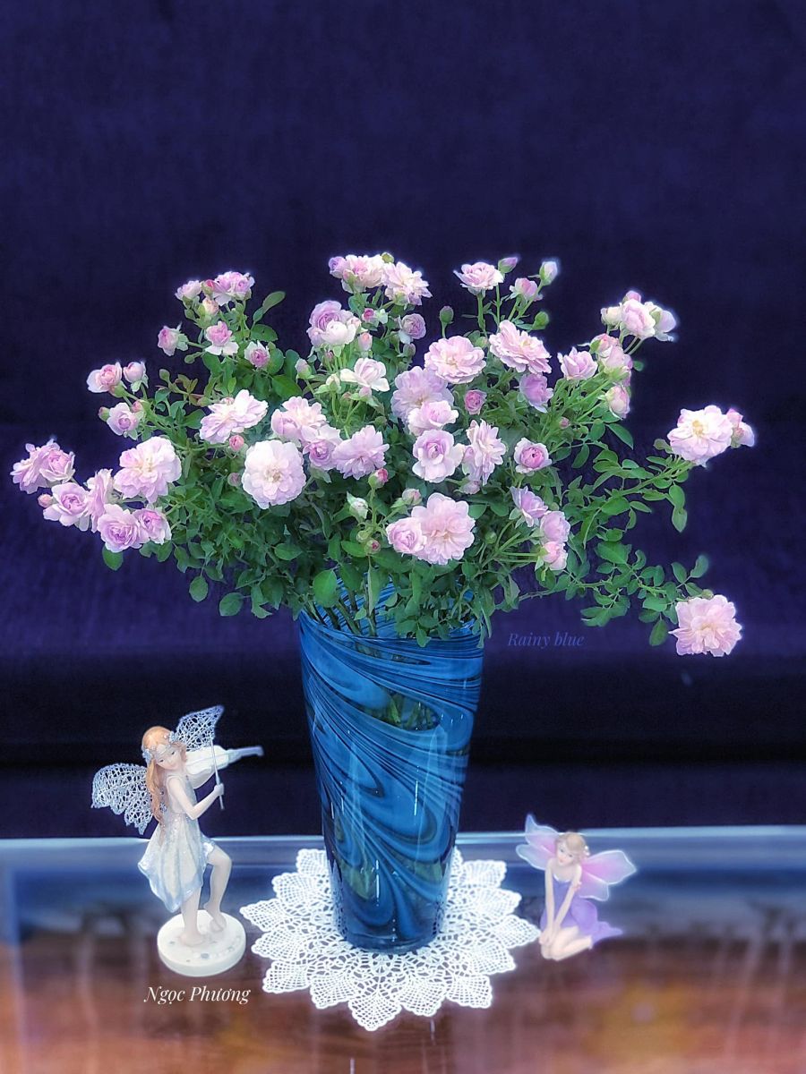 Tử vi ngày 15/7/2022 của 12 cung hoàng đạo